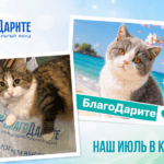 639 килограммов канцелярии и техника для Пункта отбора✏️