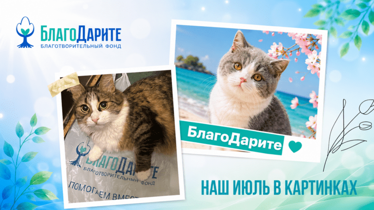 Июль — месяц, в котором было много работы. И ещё больше людей, ради которых она велась. ❤