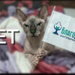 Если человек готов помогать — кто поможет ему?